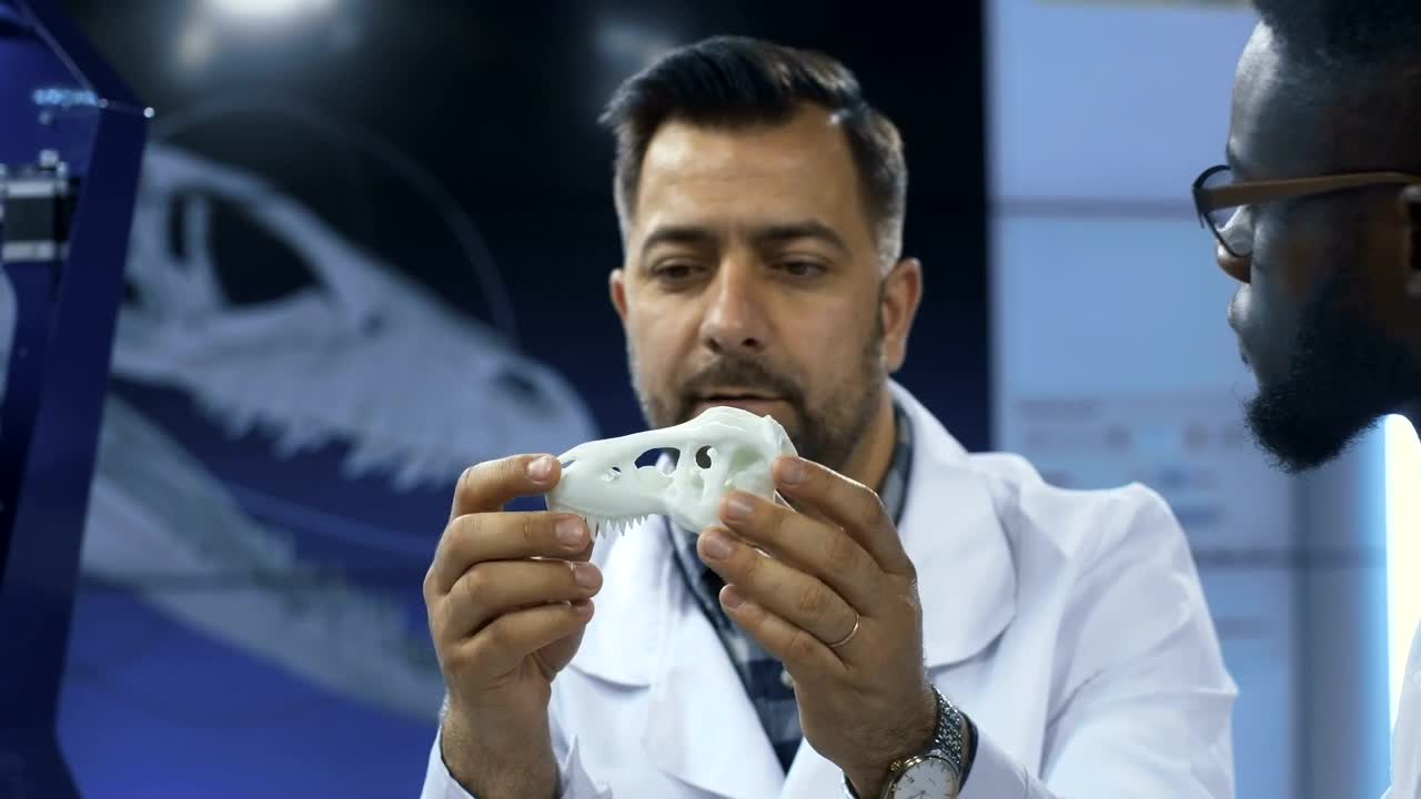 Free Stock Video Scientists Discussing About Dinosaur  D Printed Skull Live Wallpaper