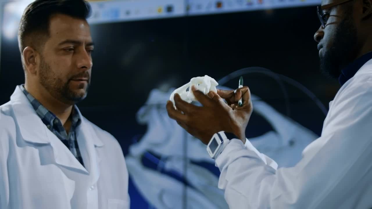 Free Stock Video Scientists Working With Dinosaurs Skull In The Lab Live Wallpaper