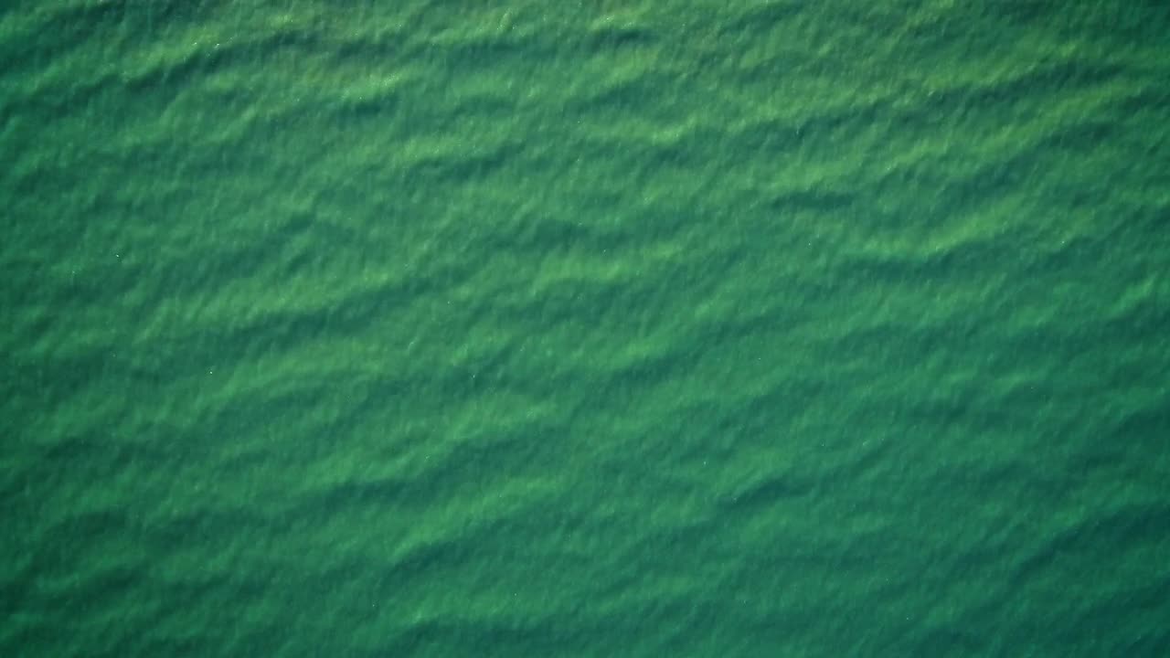 Free Stock Video Sea Water Texture Slowly Waving Live Wallpaper
