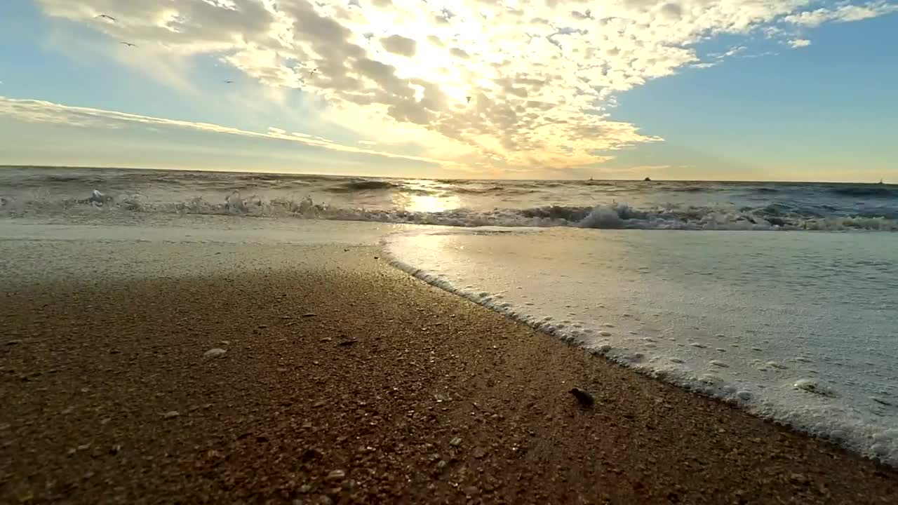 Free Stock Video Sea Waves Coming To The Beach Ground View Live Wallpaper