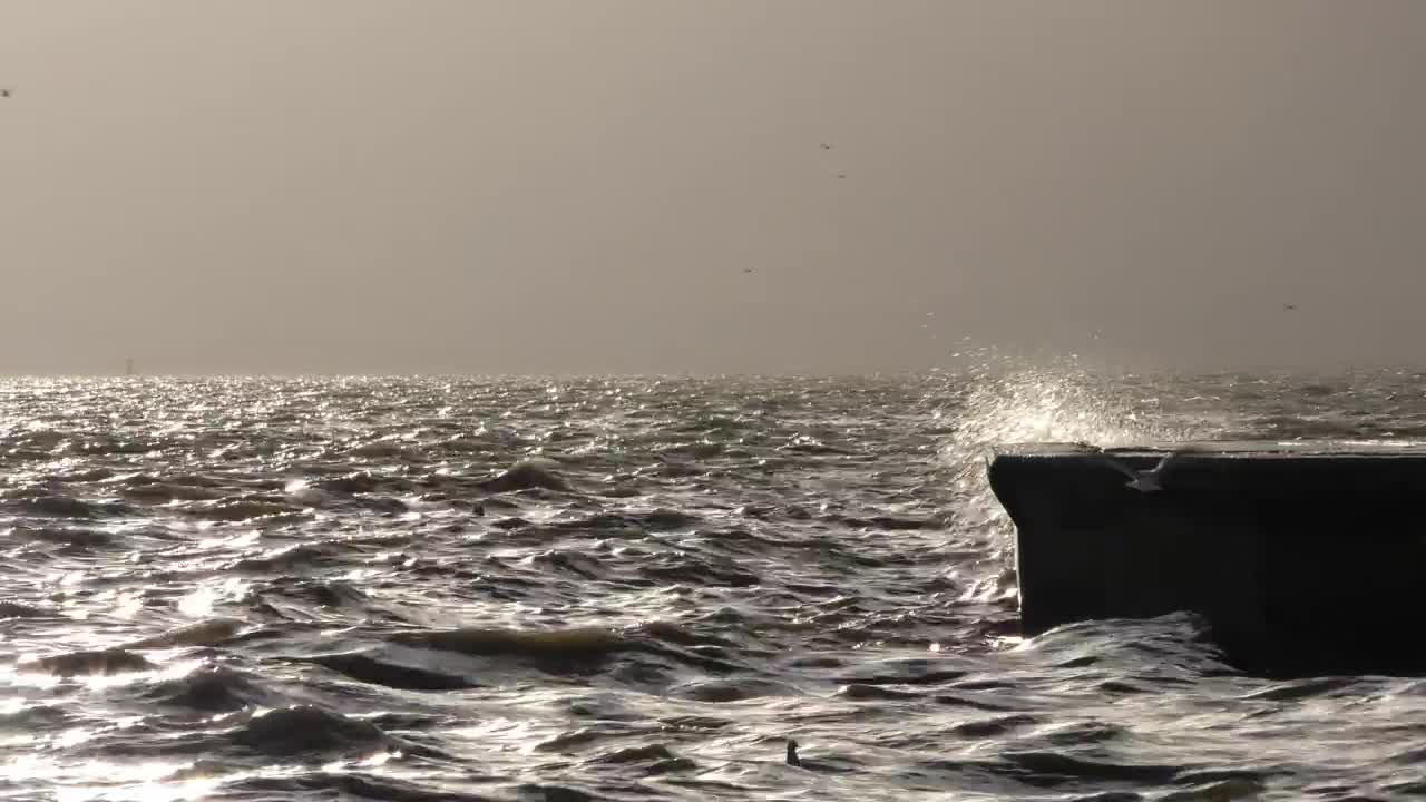 Free Stock Video Sea Waves Hitting A Dock Live Wallpaper