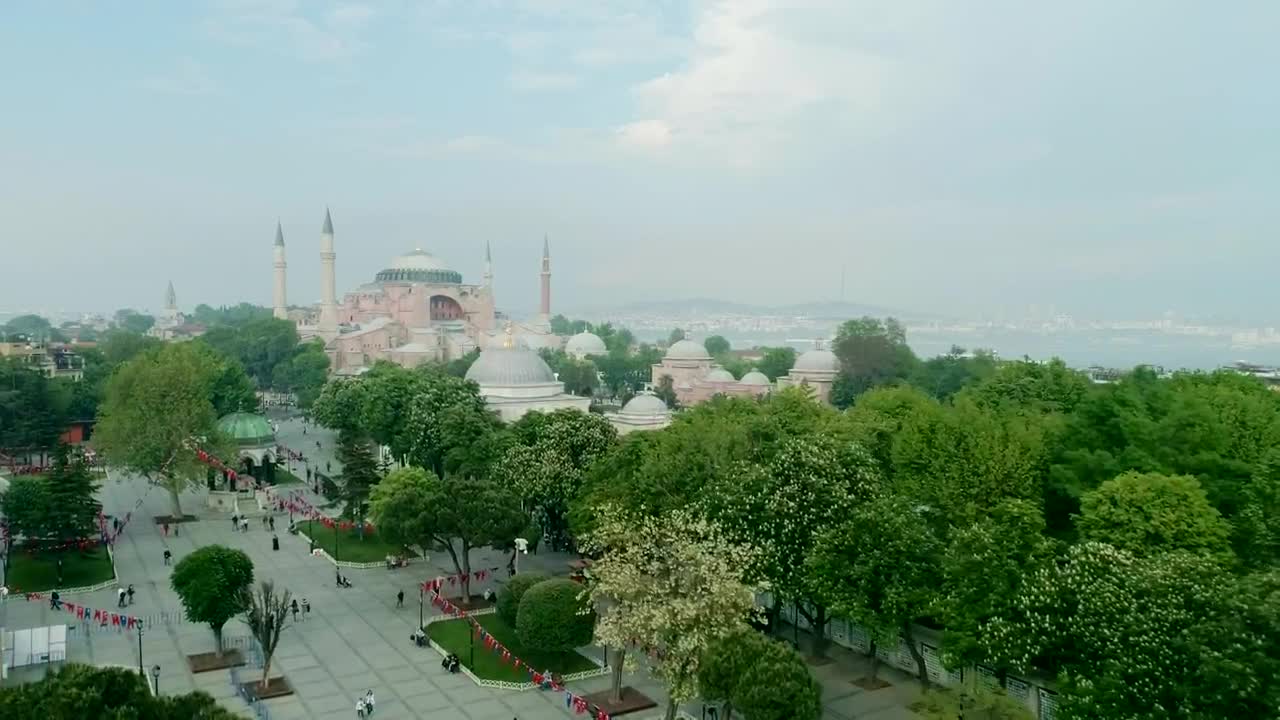 Free Stock Video Seagull Flying Past A Drone Live Wallpaper