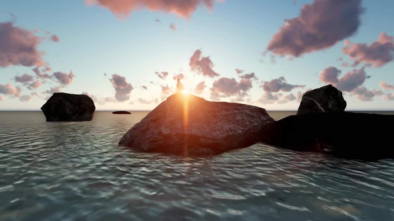 Free Stock Video Seagull Perched On A Rock On A Beach D At Live Wallpaper