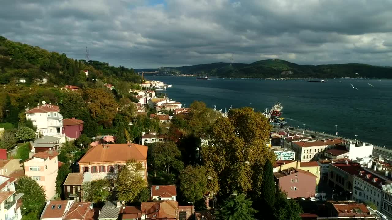 Free Stock Video Seagulls Flying Over A Fishing Village Live Wallpaper