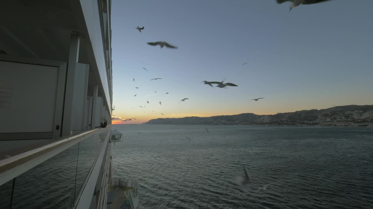 Free Stock Video Seagulls Following A Passenger Ship Live Wallpaper