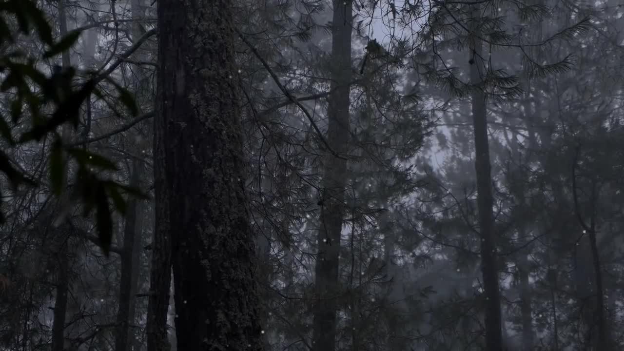 Free Stock Video Seasonal Snow Logo Reveal Live Wallpaper