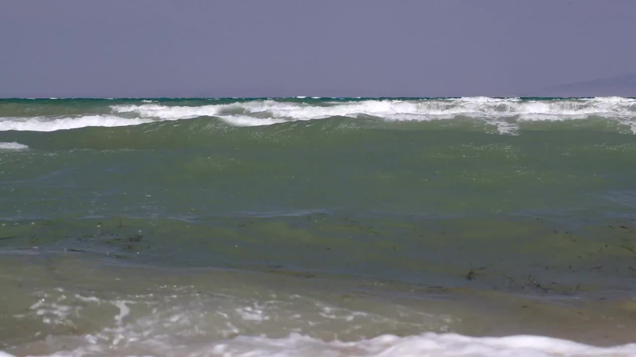 Free Stock Video Seaweed Floating In The Waves Live Wallpaper