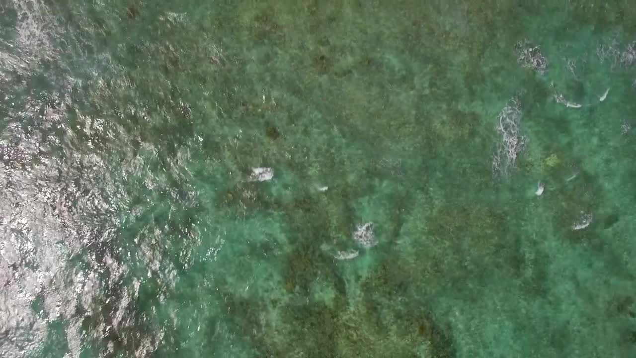 Free Stock Video Shallow Waters Leading To The Deep Ocean Live Wallpaper