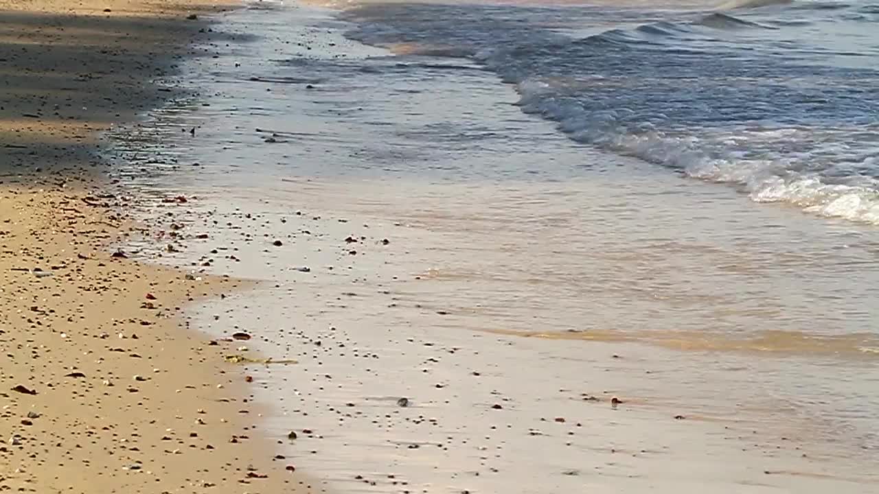 Free Stock Video Shallow Waves On A Dirty Beach Live Wallpaper