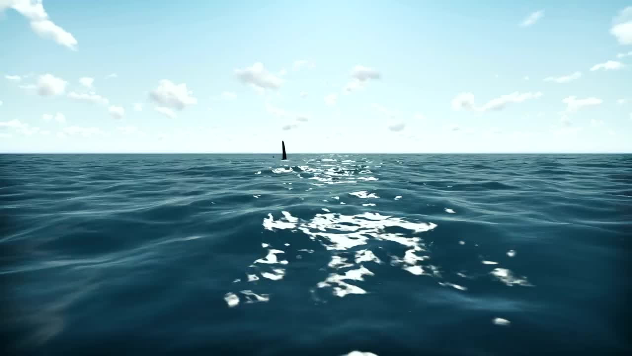 Free Stock Video Shark In The Ocean D Animation Live Wallpaper