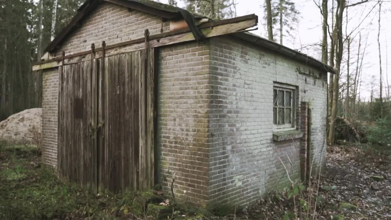 Free Stock Video Shed In A Temperate Forest Live Wallpaper