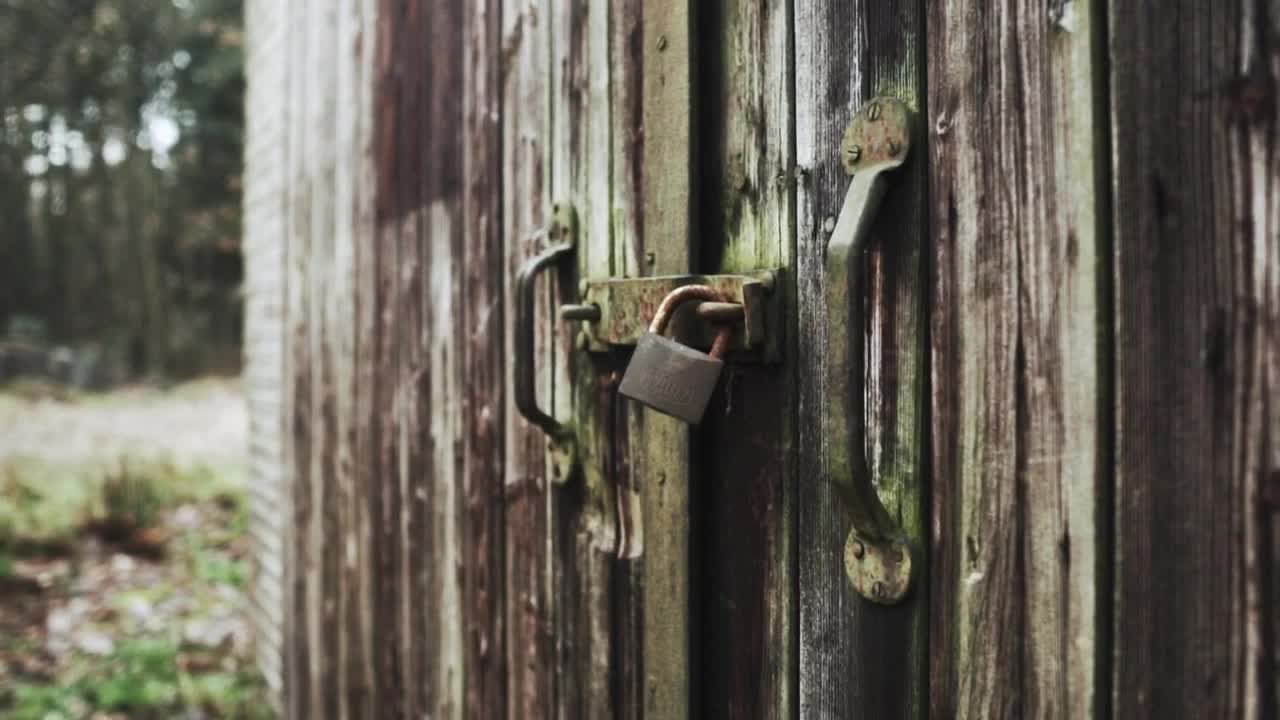 Free Stock Video Shed In The Forest Closed With A Padlock Live Wallpaper