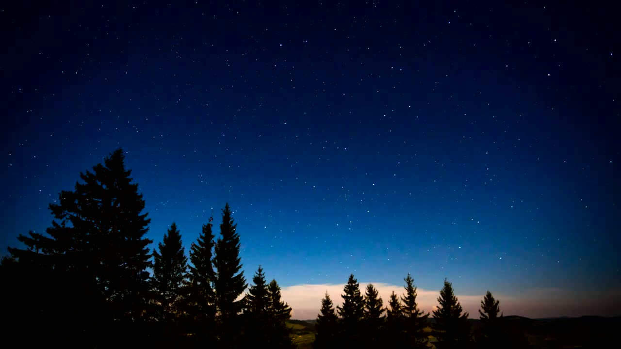 Free Stock Video Shooting Stars On A Night In The Woods Live Wallpaper