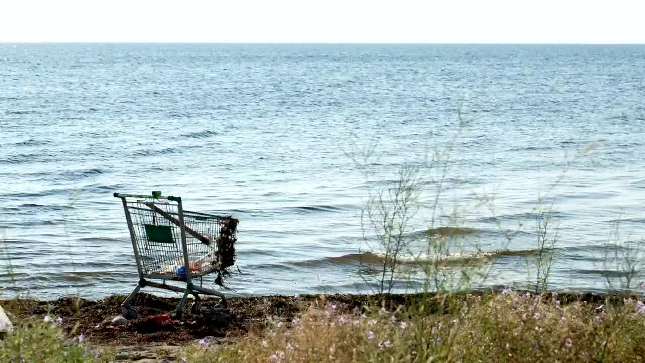 Free Stock Video Shopping Cart Left Abandoned Live Wallpaper