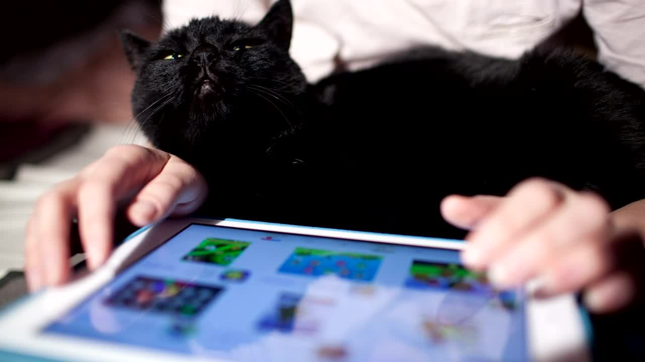 Free Stock Video Shopping Online Using A Touchscreen Live Wallpaper