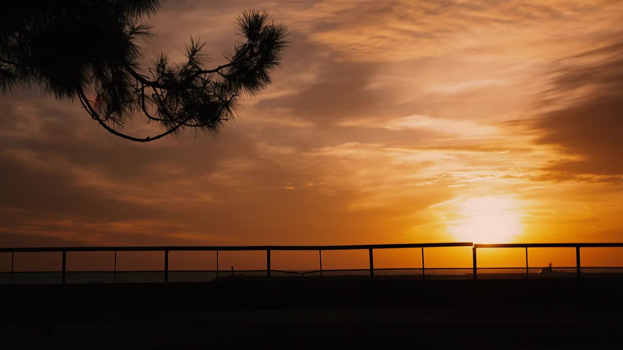 Free Stock Video Silhouette Of A Couple Kissing On A Sunset Live Wallpaper