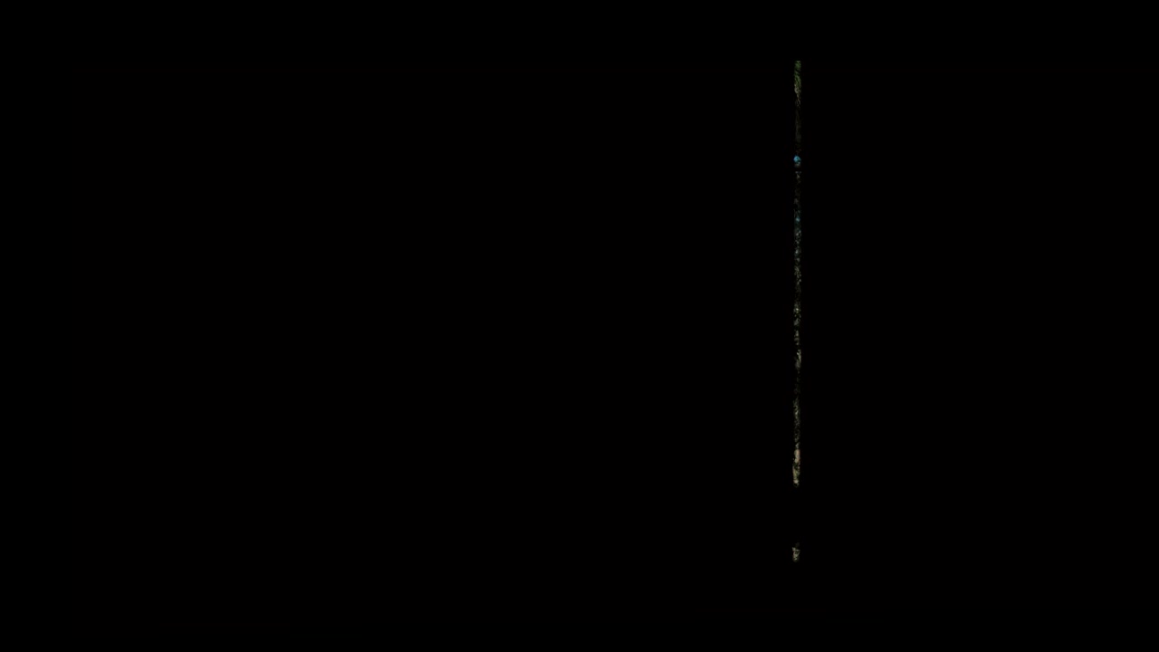 Free Stock Video Silhouette Of A Person In The Forest Live Wallpaper