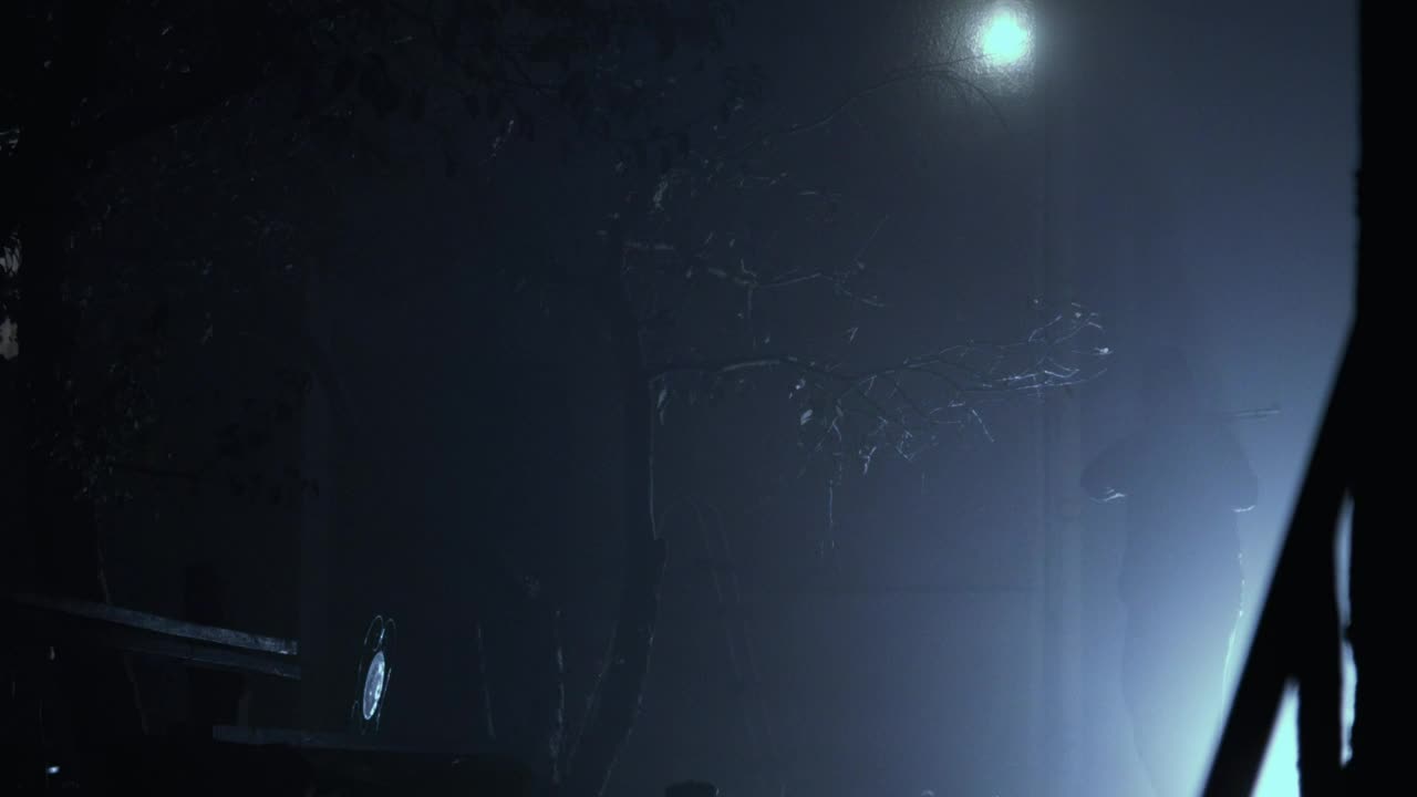 Free Stock Video Silhouette Of A Thief With A Shotgun In The Night Live Wallpaper
