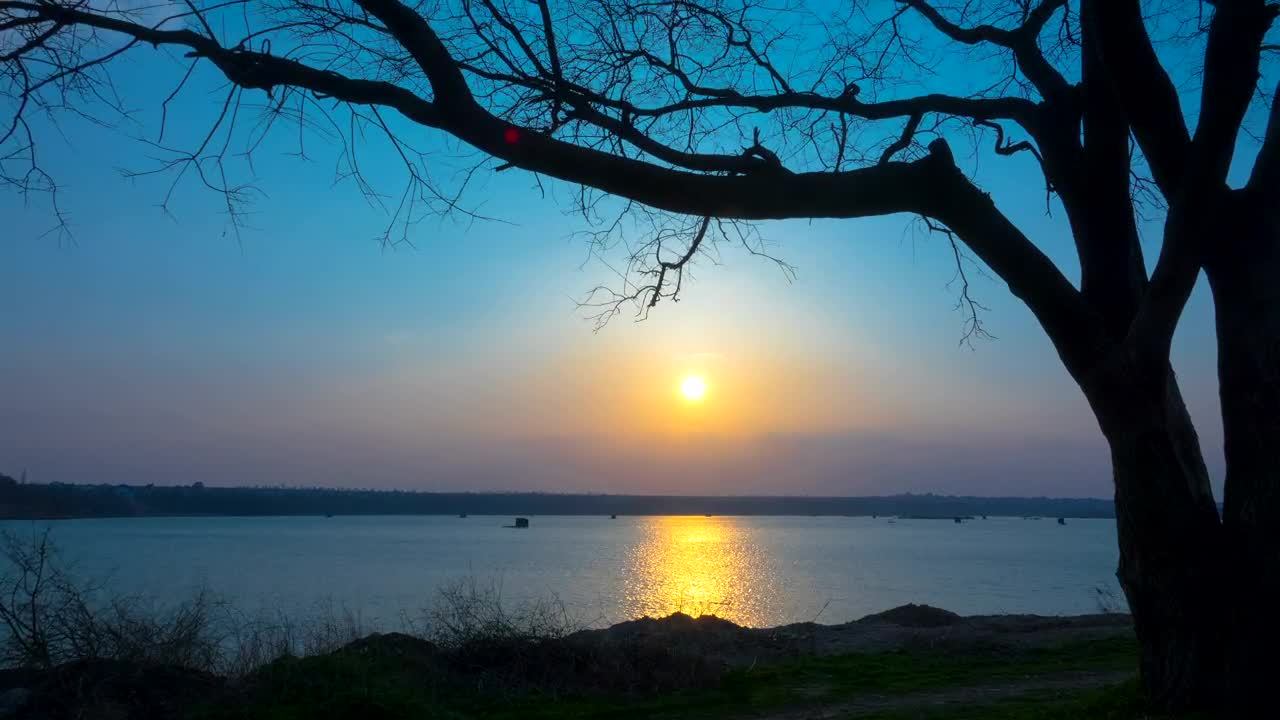 Free Stock Video Silhouette Of A Tree On A Sunset In The Lake Live Wallpaper