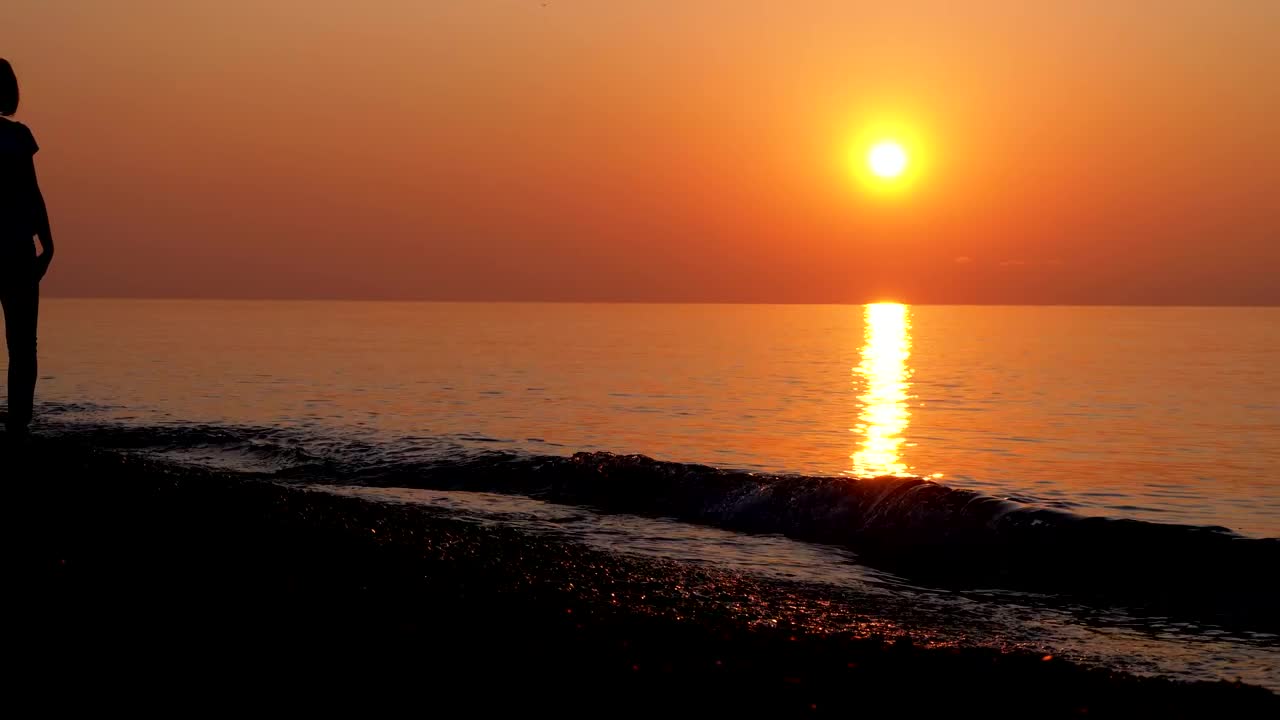 Free Stock Video Silhouette Of A Woman Walking Along The Beach Live Wallpaper