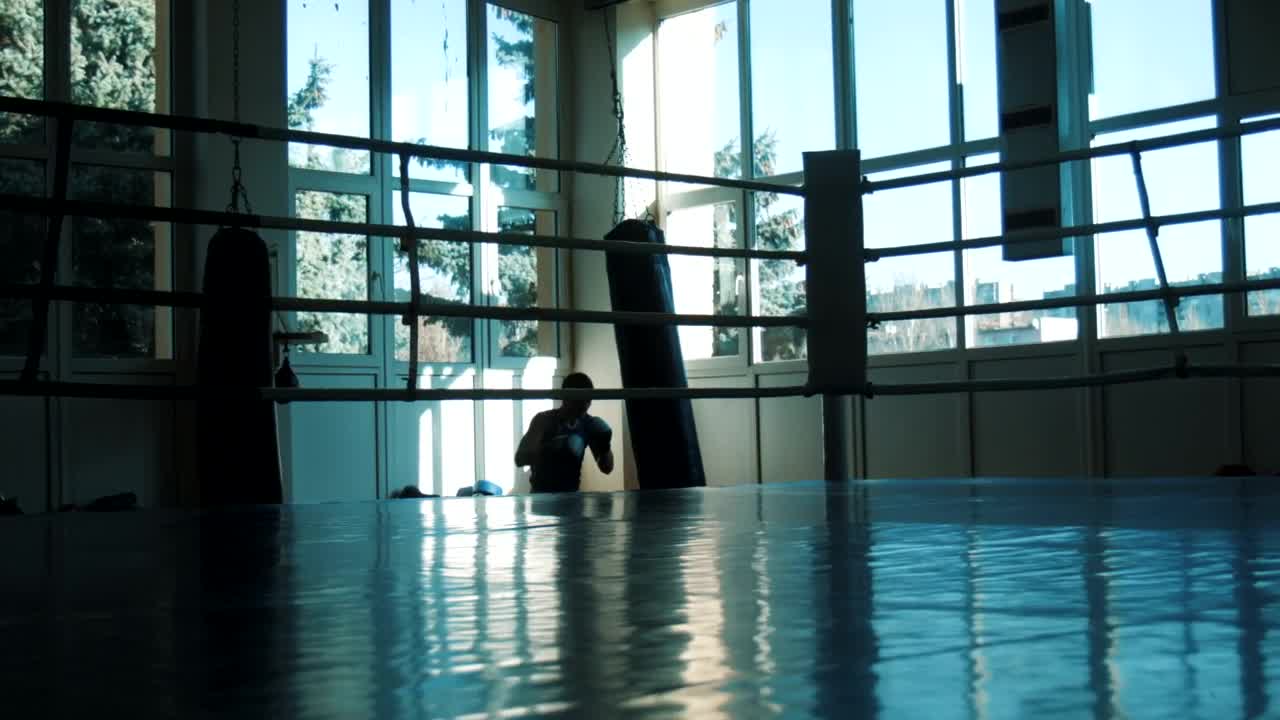 Free Stock Video Silhouette Of Boxer Hitting The Punching Bag Live Wallpaper