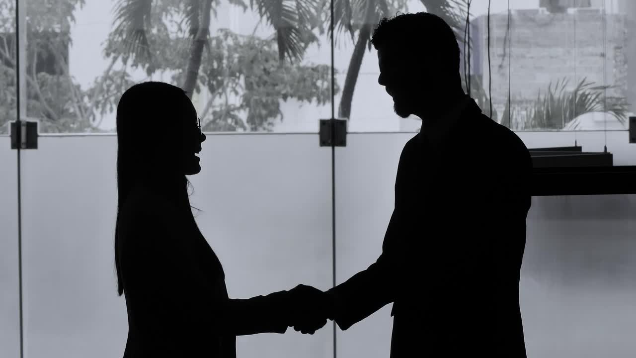 Free Stock Video Silhouettes Of A Woman And A Man Shaking Hands Live Wallpaper