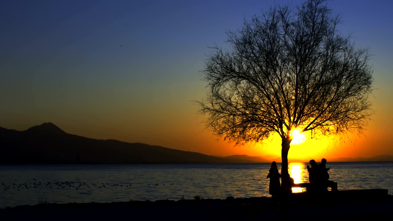 Free Stock Video Silhouettes Of People By The Sea At Sunset Live Wallpaper