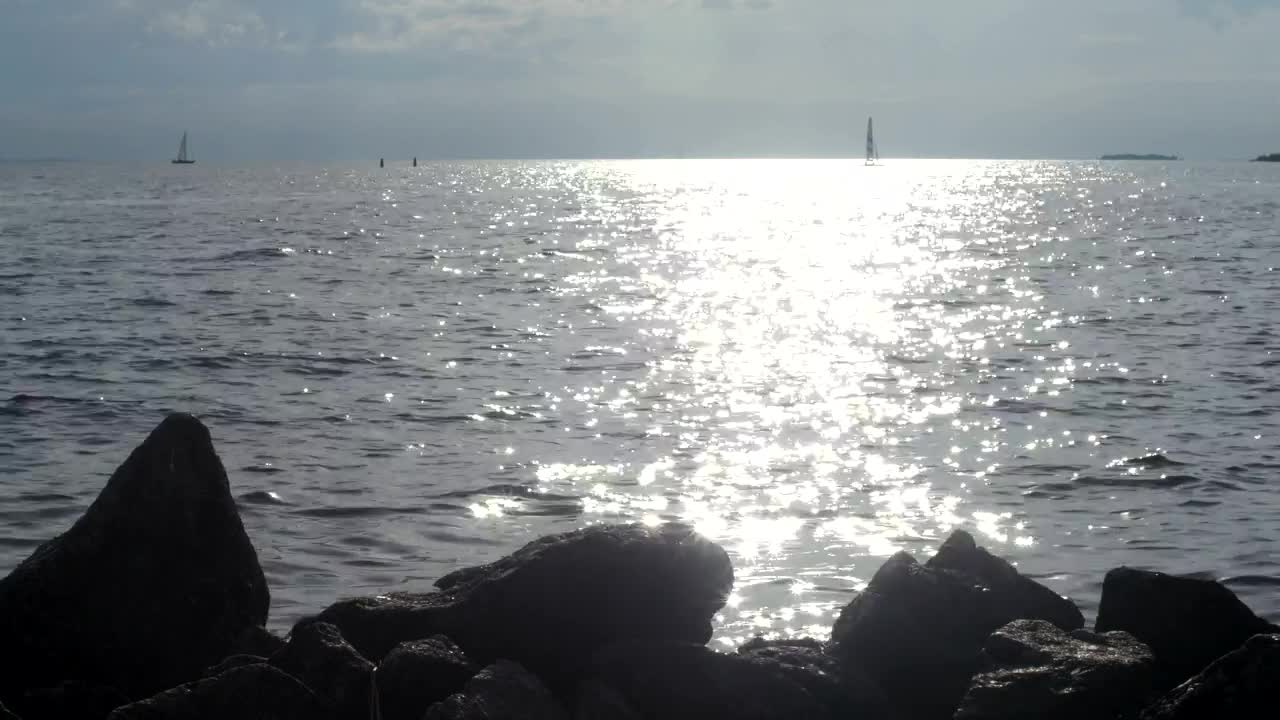 Free Stock Video Silver Ripples Across The Coast Live Wallpaper