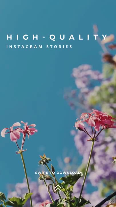 Free Stock Video Simple Instagram Story Live Wallpaper