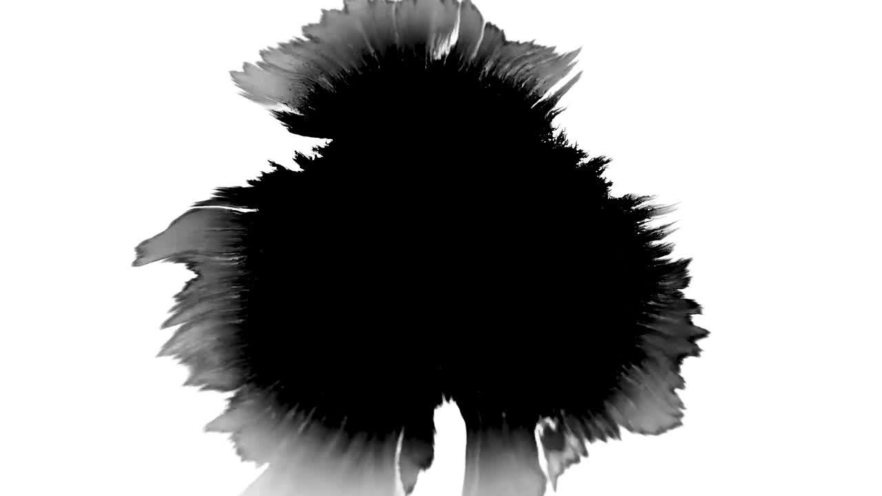 Free Stock Video Single Black Splatter Live Wallpaper