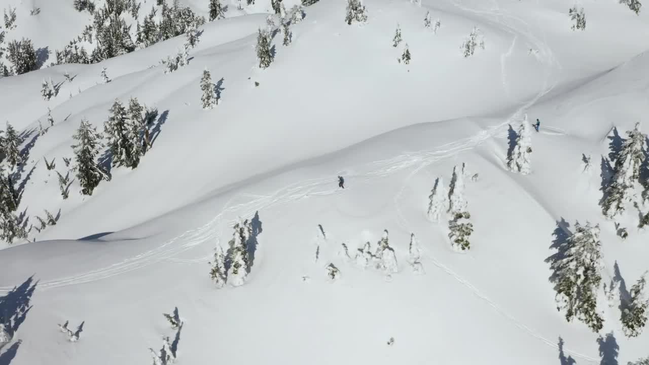 Free Video Stock Skier Going Down A Snowy Slope Live Wallpaper