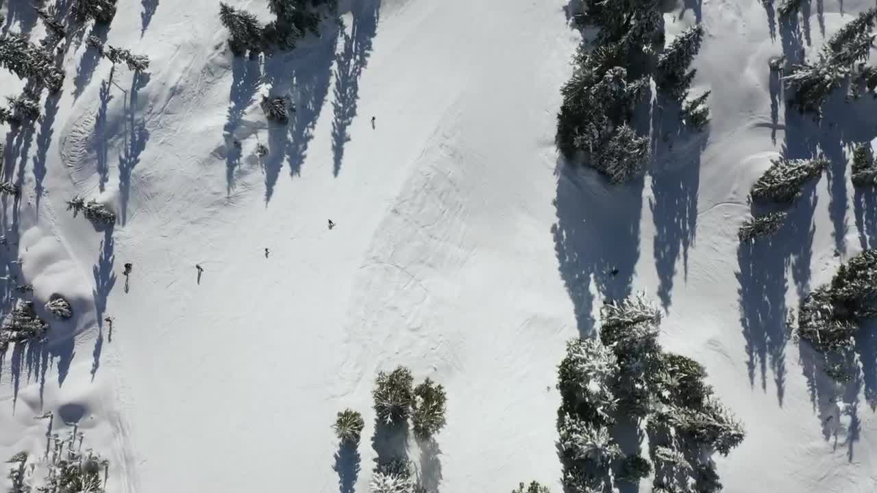 Free Video Stock Skiing On The Slope Of A Canadian Mountain Live Wallpaper