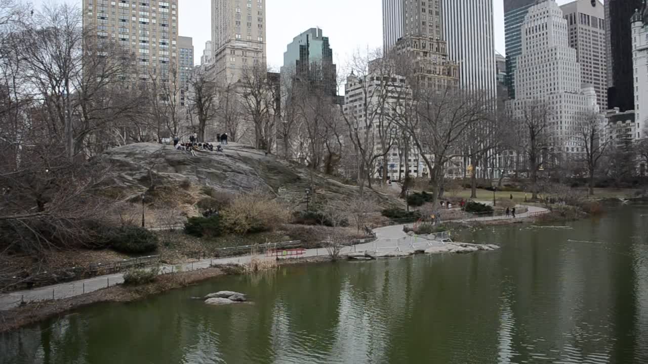 Free Video Stock Skyscrapers From A Cold City Park Live Wallpaper