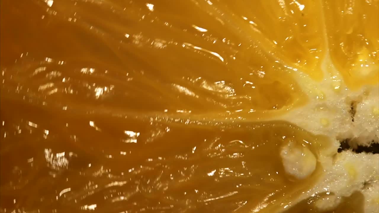 Free Video Stock Slice Of Orange Close Up Live Wallpaper