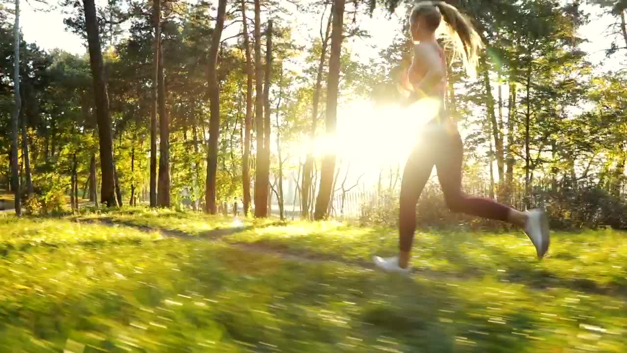 Free Video Stock Slim Runner Running Against The Light In The Park Live Wallpaper