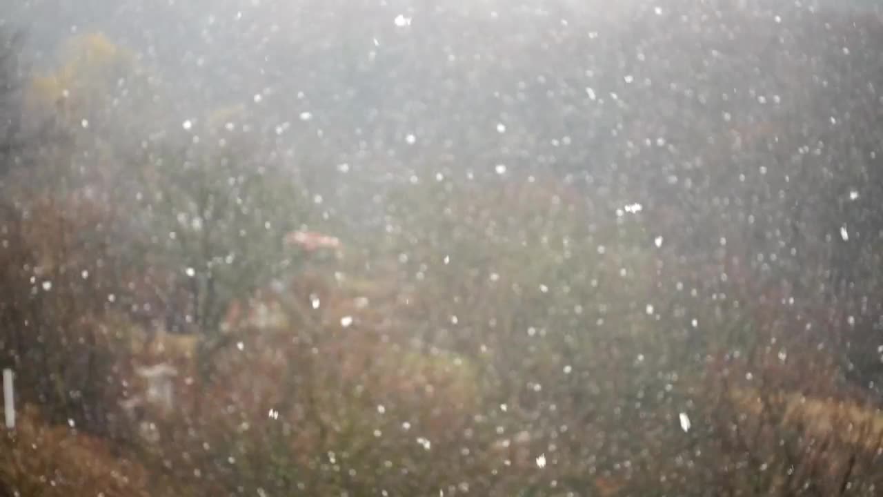 Free Video Stock Slow Falling Snow Over A Forest Live Wallpaper