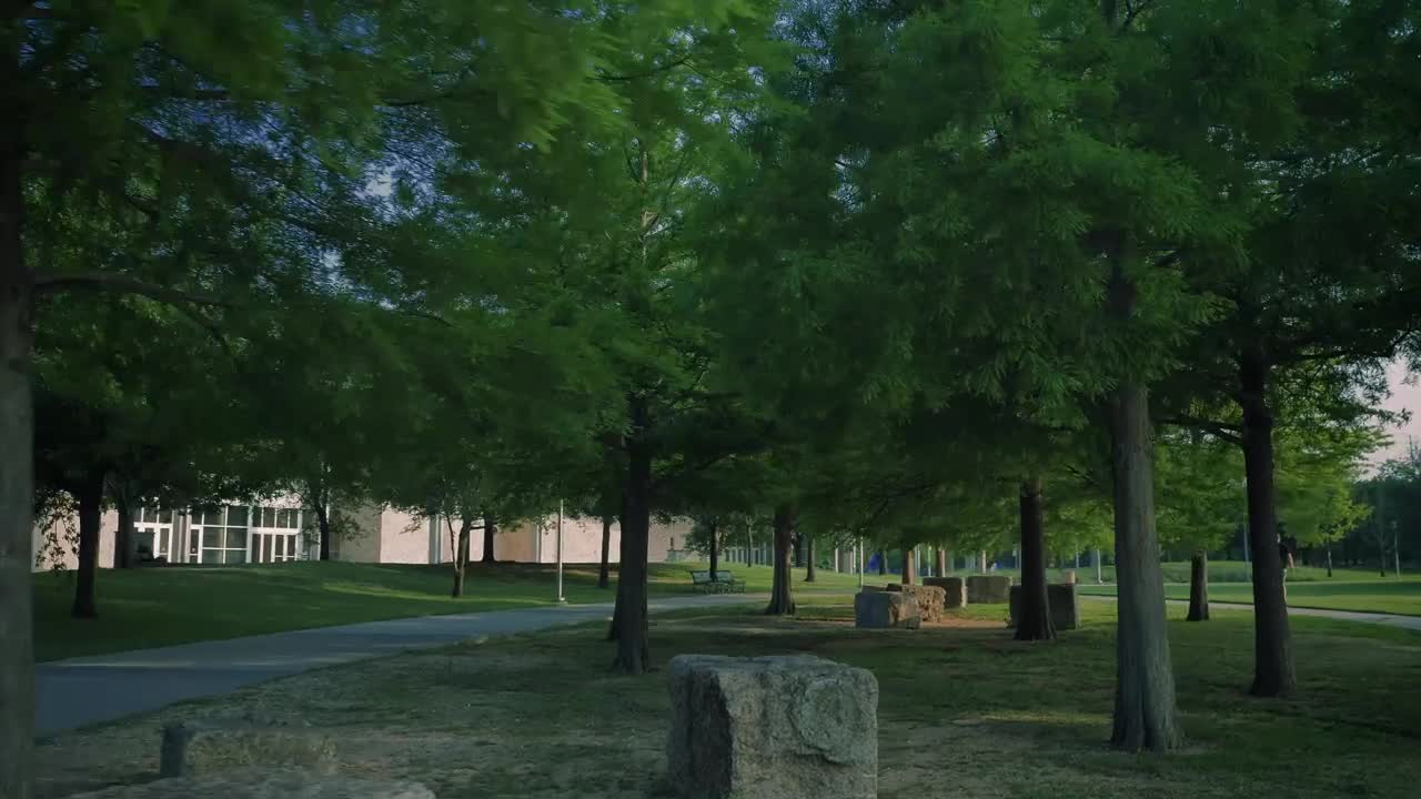 Free Video Stock Slow Walk Through A Quiet Park With Grass And Trees Live Wallpaper