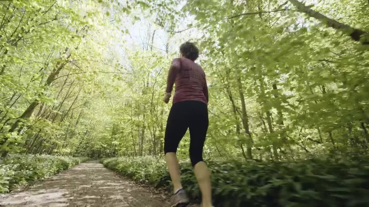 Free Video Stock Slowly Running Through A Forest Path Live Wallpaper