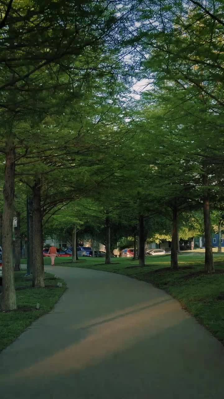 Free Video Stock Slowly Walking Down A Path In A Park Live Wallpaper