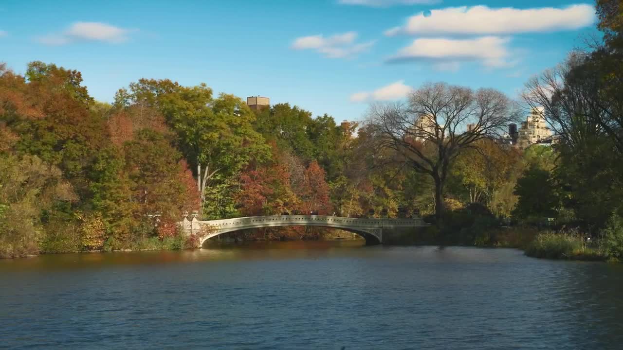 Free Video Stock Small Bridge In The Park Live Wallpaper