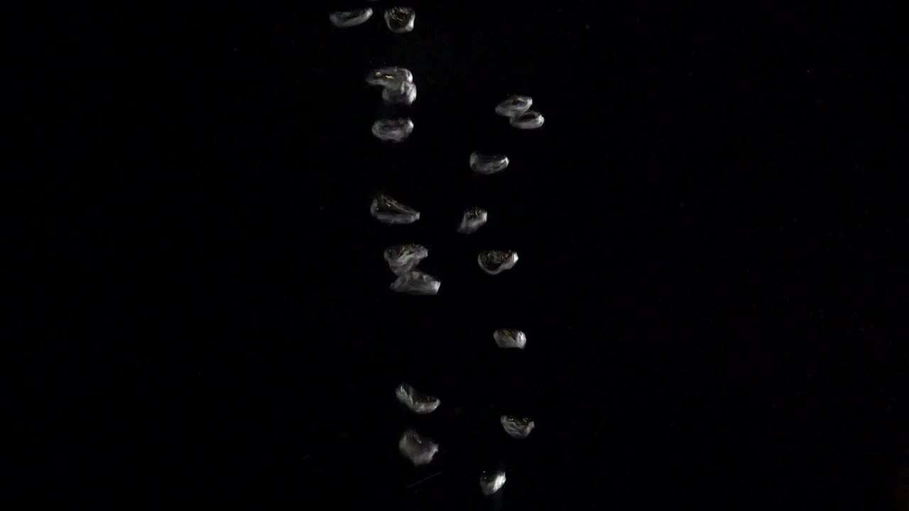 Free Video Stock Small Bubbles Underwater Live Wallpaper
