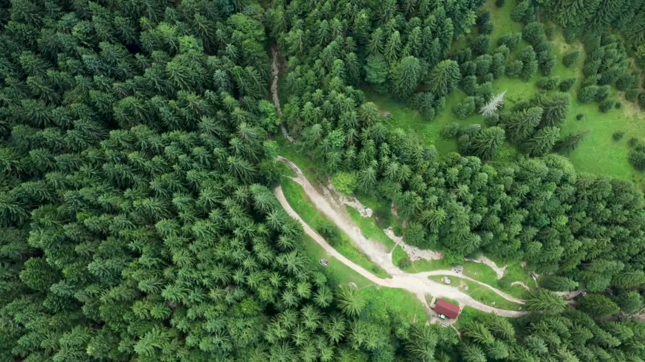 Free Video Stock Small Building Alone In A Forest Live Wallpaper