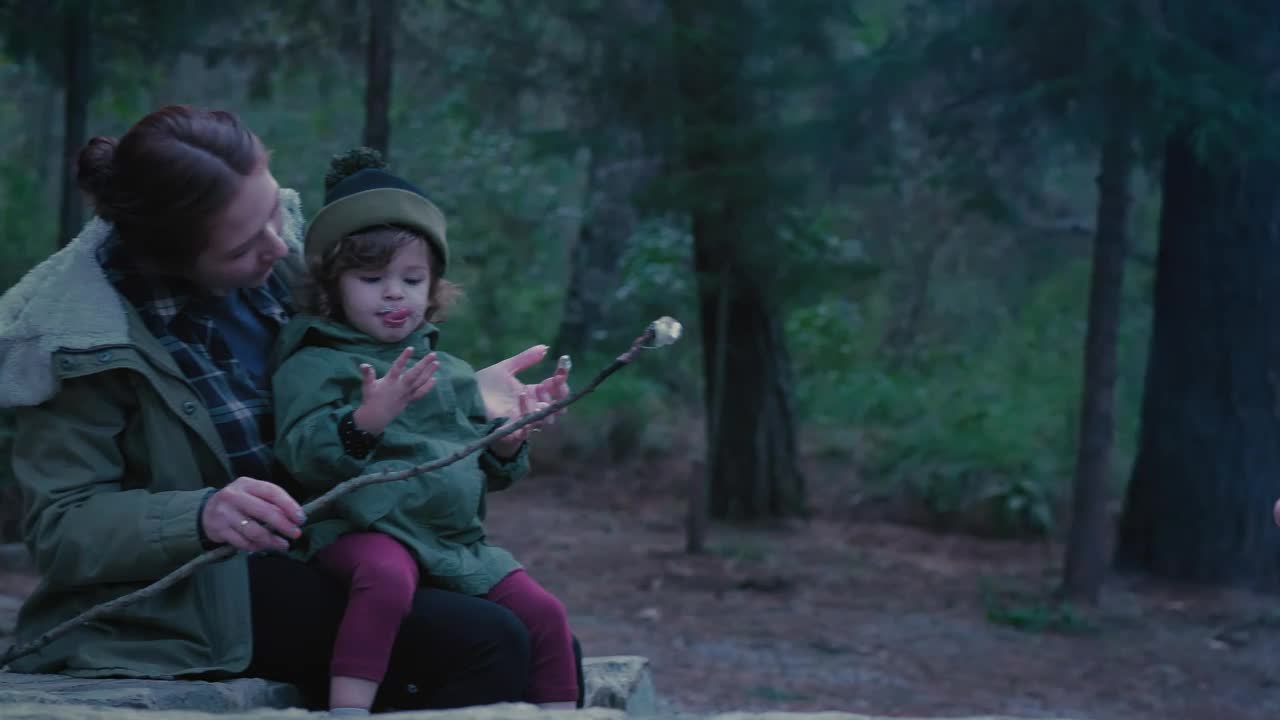 Free Video Stock Small Family Eating Roasted Marshmallows In Nature Live Wallpaper