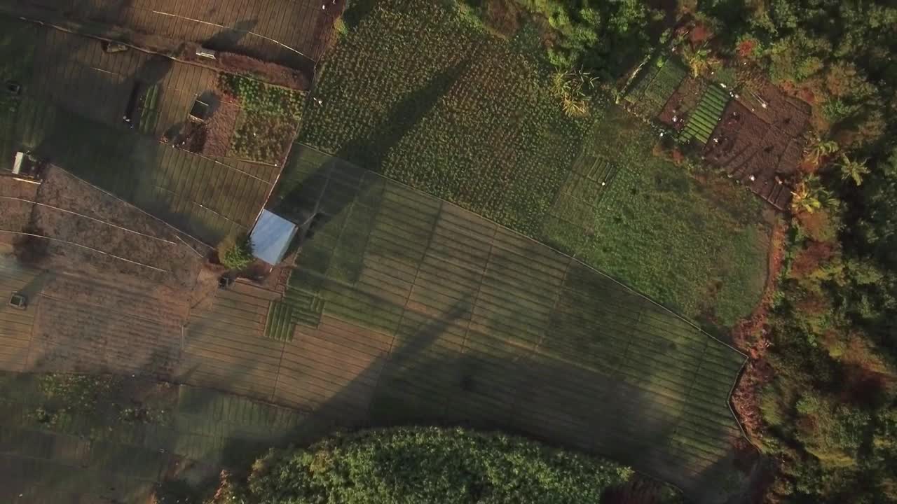 Free Video Stock Small Farm On The Coast Live Wallpaper