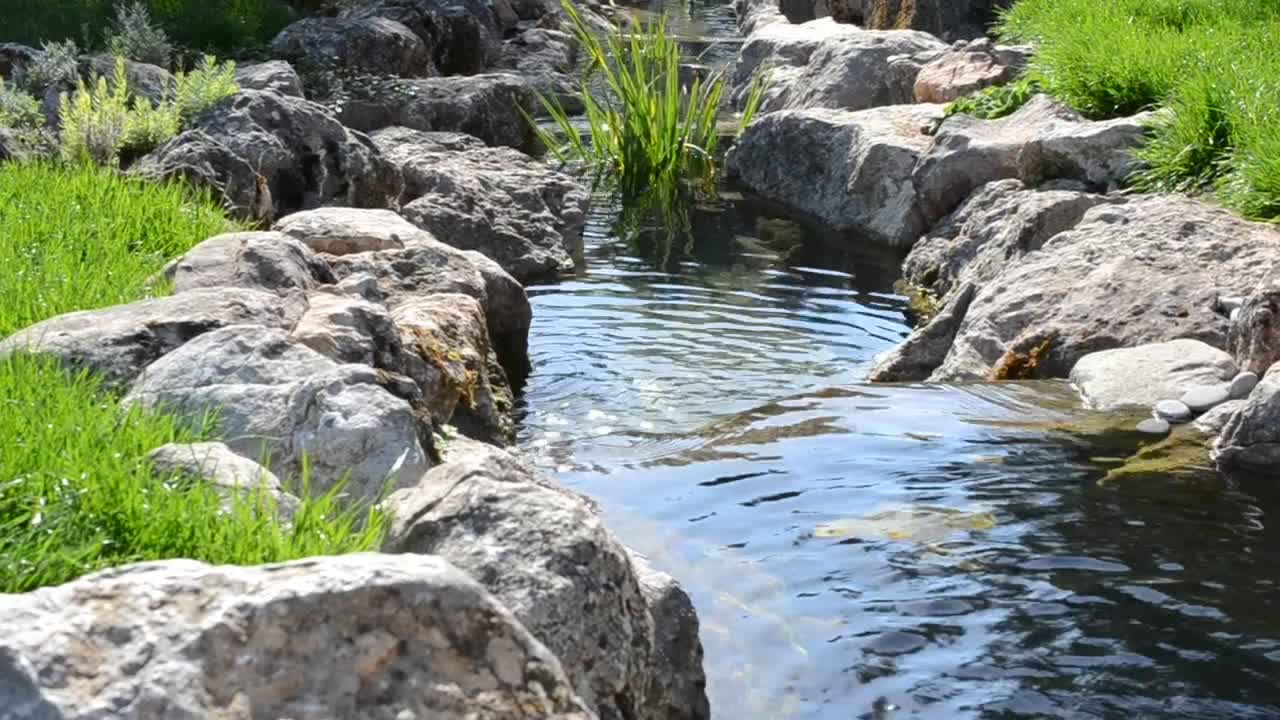 Free Video Stock Small Garden Stream Live Wallpaper