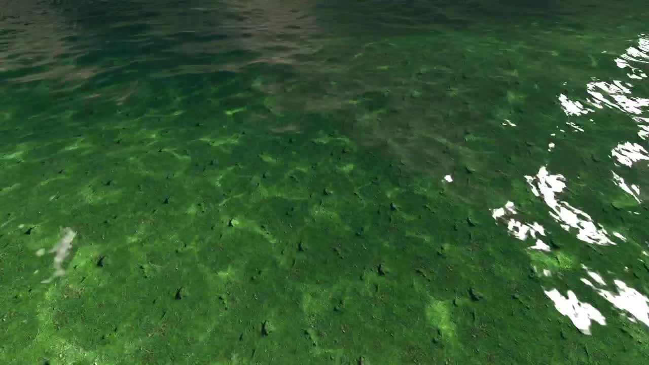 Free Video Stock Small Ocean Waves Near The Shore Live Wallpaper