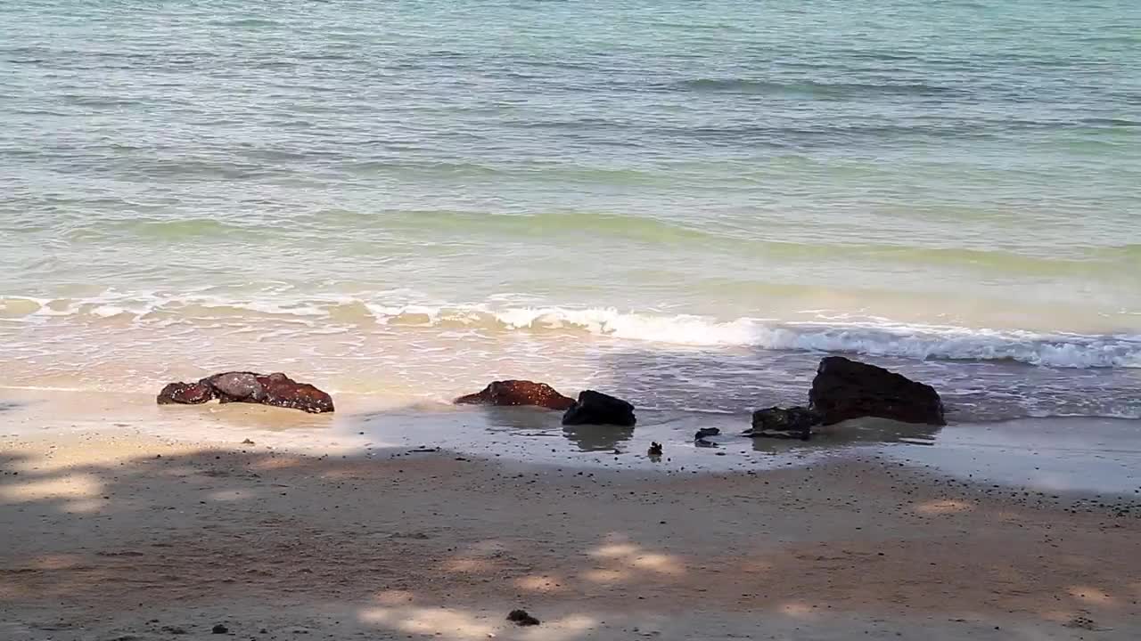 Free Video Stock Small Rocks Along The Beach Live Wallpaper