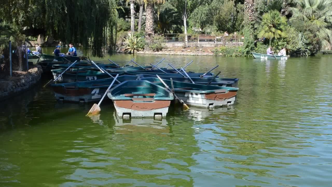 Free Video Stock Small Rowing Boats In A Park Lake Live Wallpaper