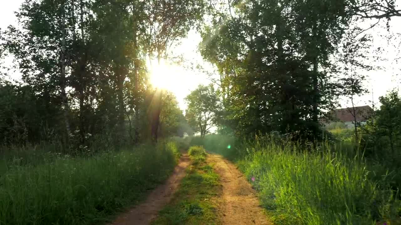 Free Video Stock Small Rural Road Between Fields Live Wallpaper