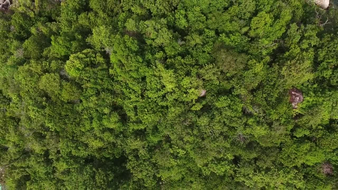 Free Video Stock Small Tropical Island In The Middle Of The Sea Live Wallpaper